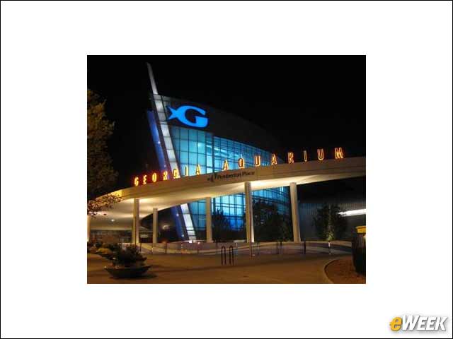 8 - Georgia Aquarium Intro