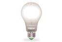 smart bulb