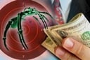 Bug Bounties 2
