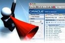 Oracle May Be Venerable, but It’s Still Highly Profitable