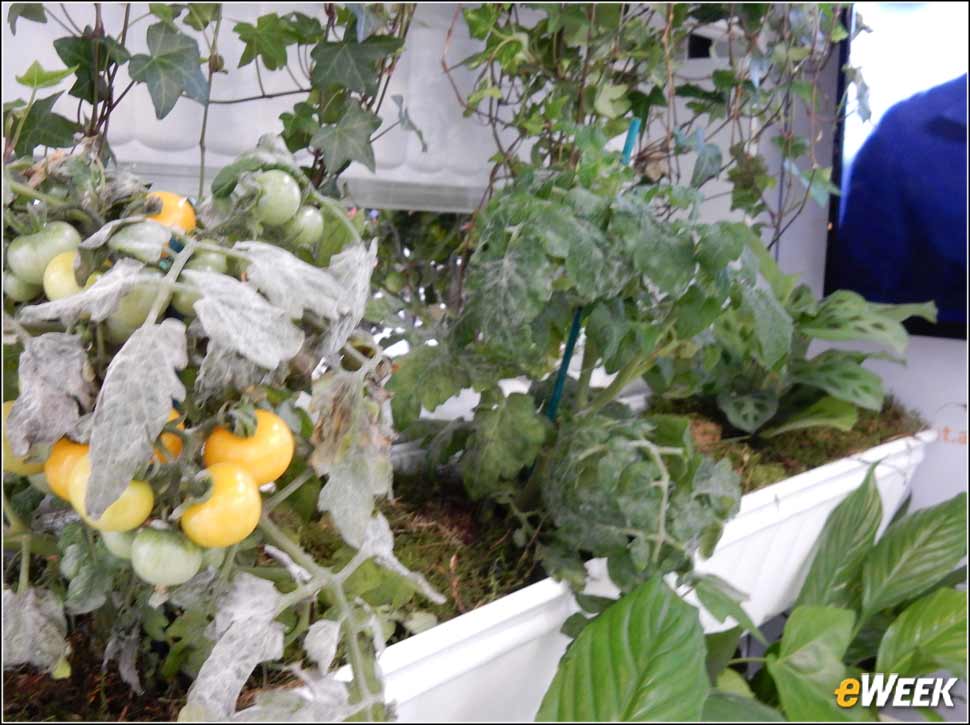 7 - Saving Agriculture