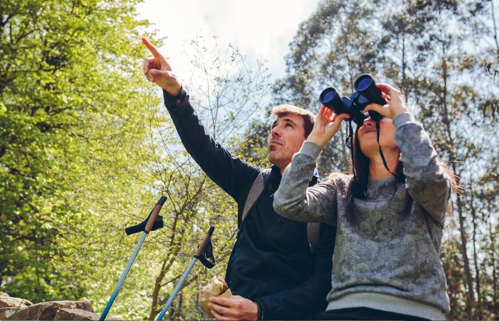 Couple doing trekking looking with binoculars