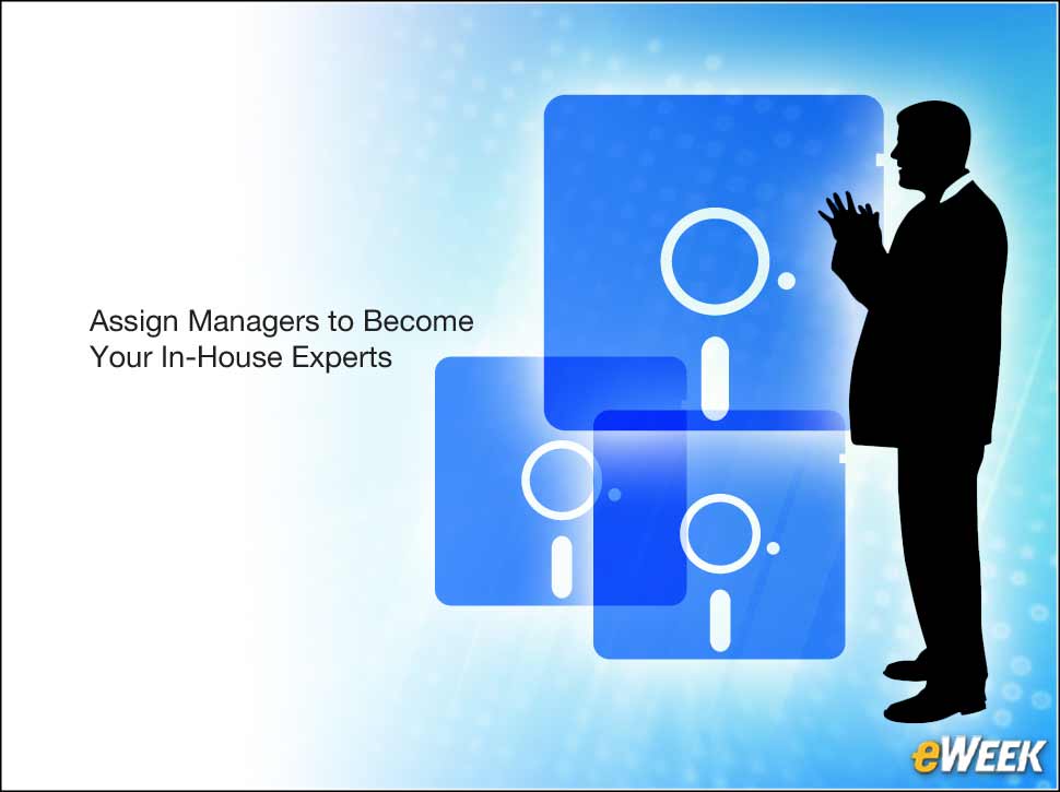 9 - Appoint Individual Software Managers