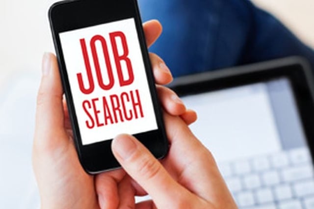 job search