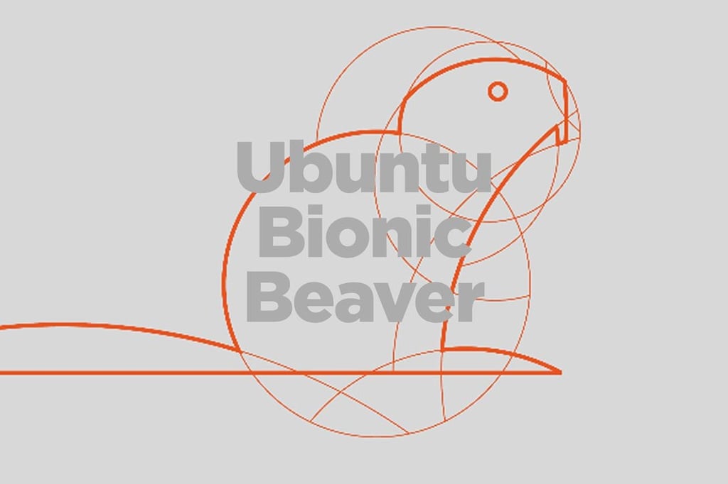 1088_UbuntuBionicBeaver