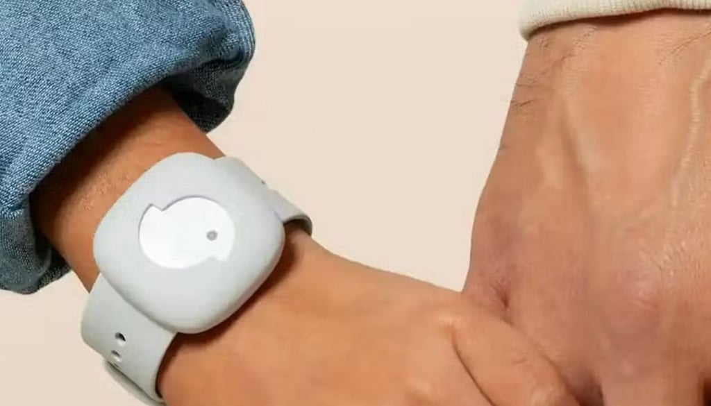 Littlebird wearable tracker