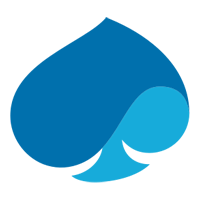 Capgemini icon.