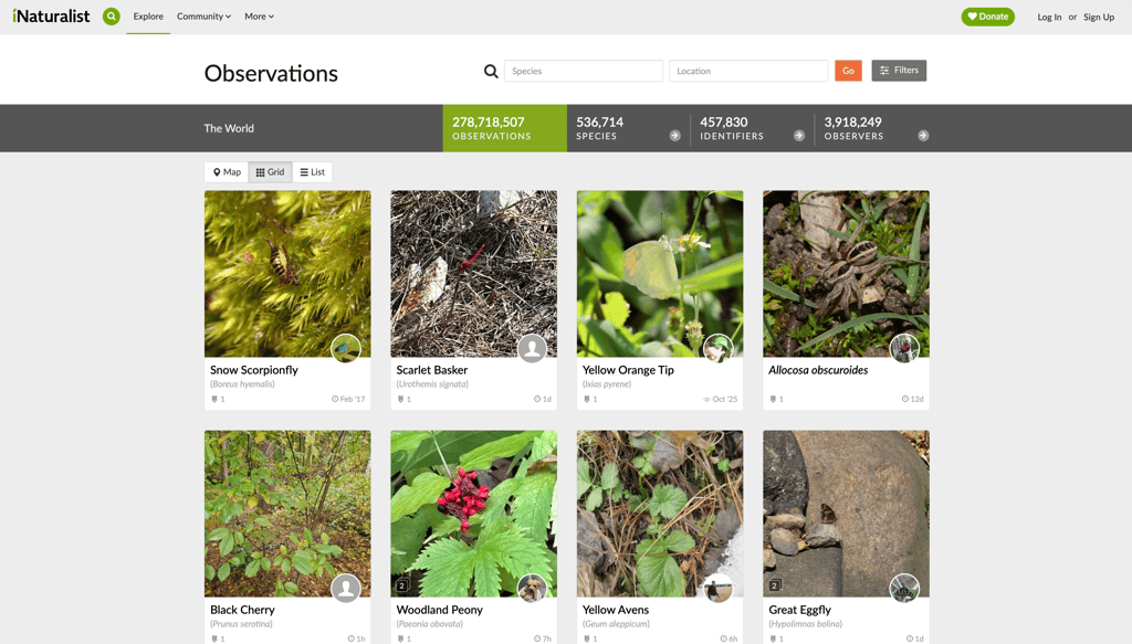iNaturalist combines AI and community expertise to help users identify and document wildlife observations.