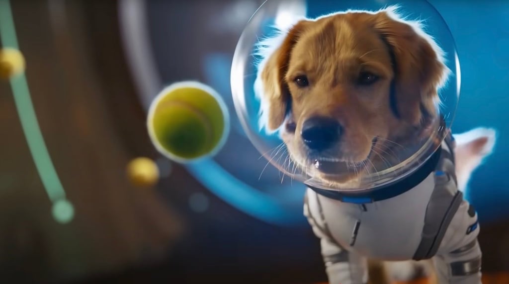 Screenshot of OpenAI's Sora 2 demo video. This image features a dog wearing a spacesuit looking at a tennis ball.