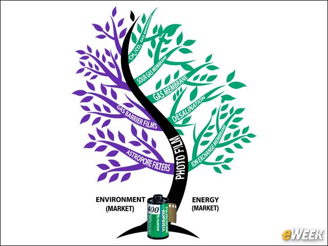 3 - FujiFilm's Creation Tree