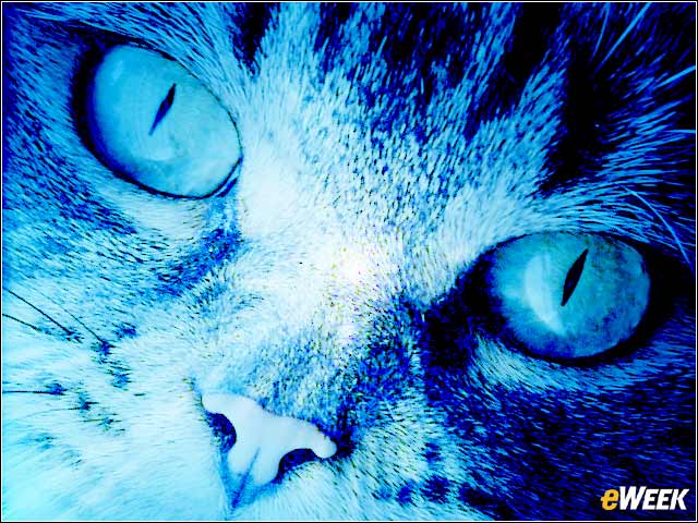 9 - Copycats Quickly Sprung Up