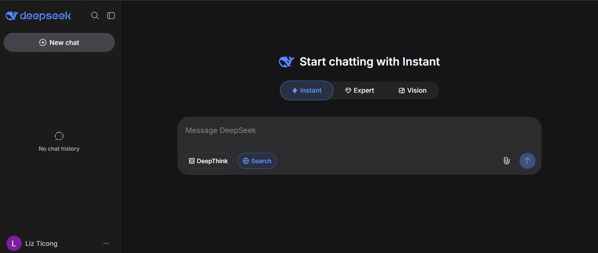 DeepSeek interface.